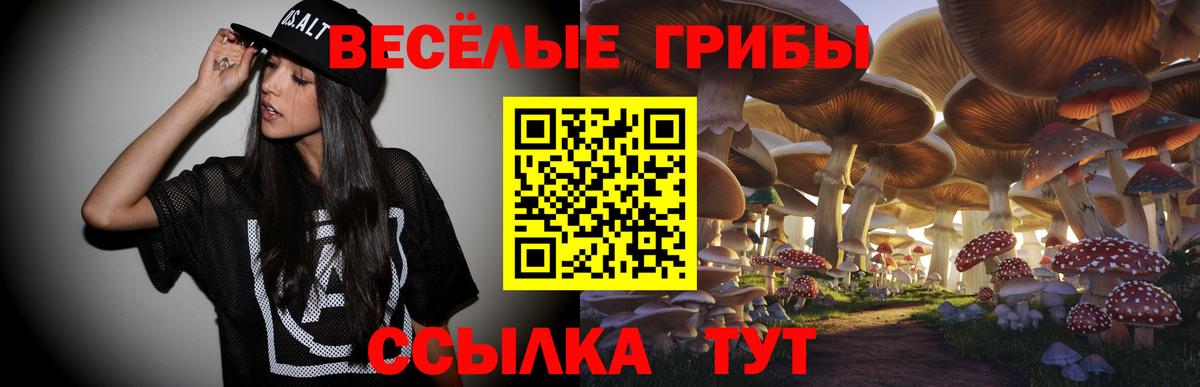 Астрахань  Галлюциногенные грибы мухоморы  Вход с VPN 